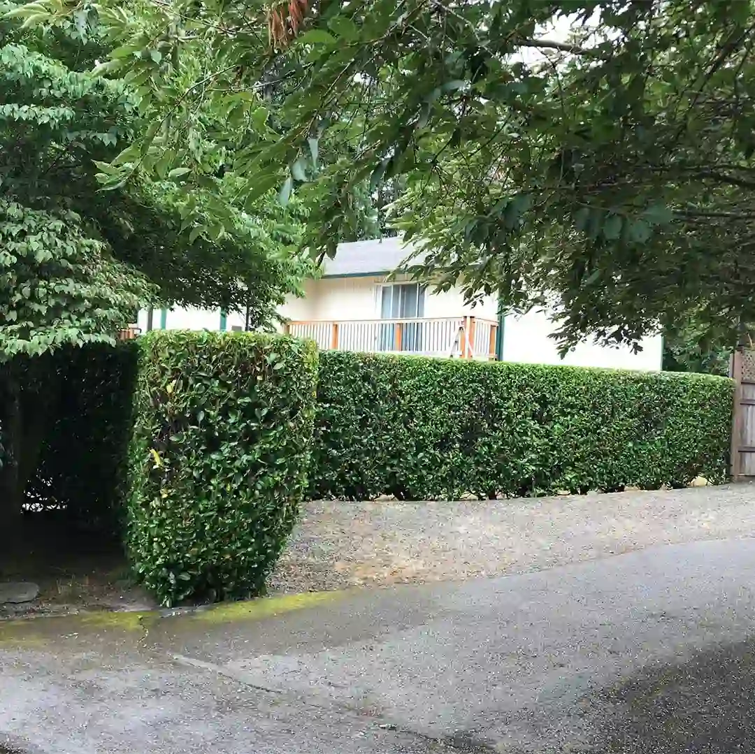 Reliable Landscaping Services